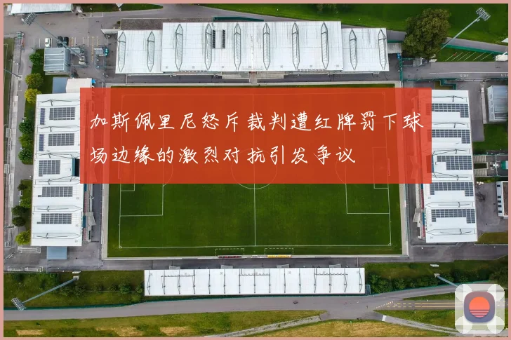 加斯佩里尼怒斥裁判遭红牌罚下球场边缘的激烈对抗引发争议