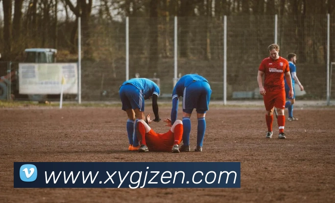 多媒体互动体验